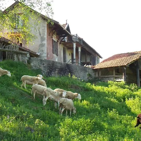 Faites Le Plein De Nature !