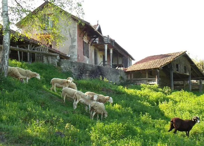 Faites Le Plein De Nature !